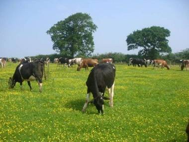 Highdown Farm Holiday Cottages