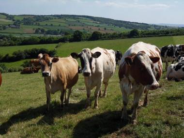 Highdown Farm Holiday Cottages
