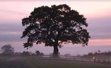 Marbury Camp and Lodge