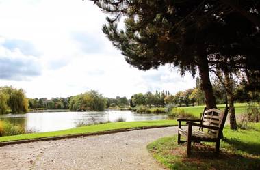 Best Western Plus Windmill Village Hotel