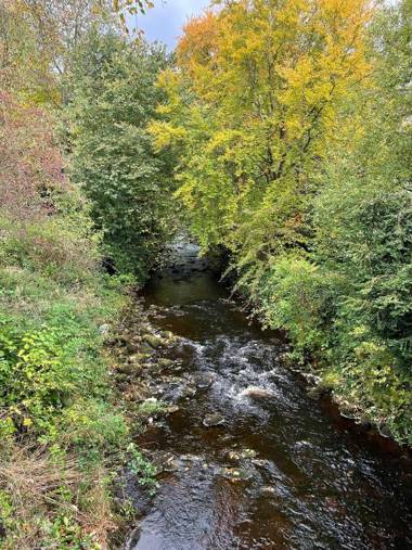 Swallows Nest Bed and Breakfast