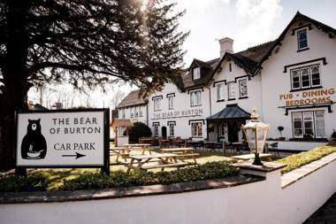 Bear Of Burton