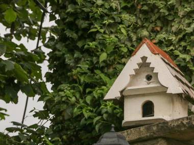 Grange Cottage Hope Valley