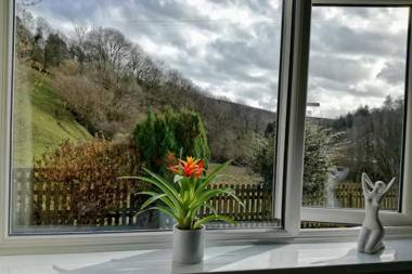 Neuadd Wen Guest House