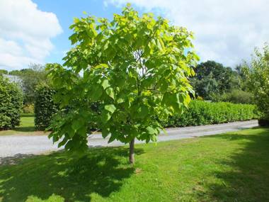 The Potting Shed And The Garden Shed Self Catering