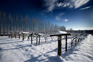 Llanerch Vineyard Hotel