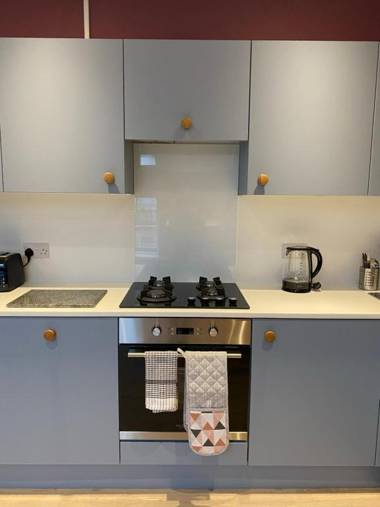 Aaron Wise - 17 Fitzhamon Apartments