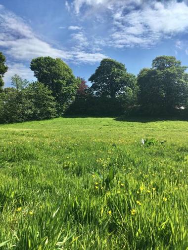 Little Pengelly Farm