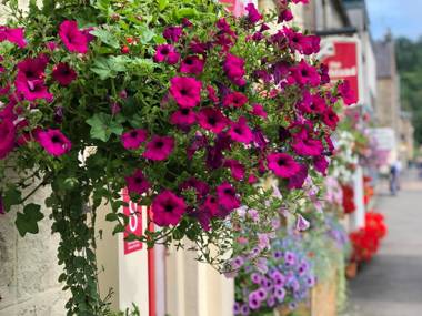 Highland Guest House