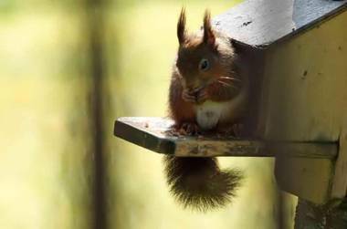 The Low Farm and Duddon View Barn