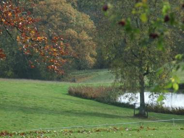 Woodlands Bed & Breakfast