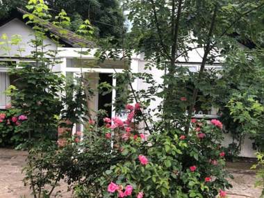 Whole house cottage with parking and huge garden