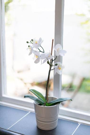 Portland Street with Free Parking