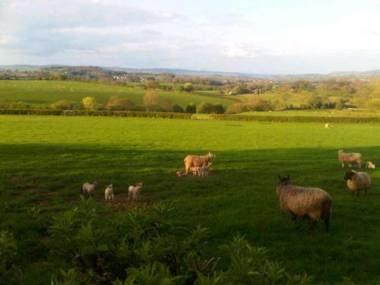 The Draen Bed and Breakfast