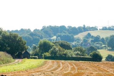 Putts Cottage hidden away at the end of a cart track happily lost