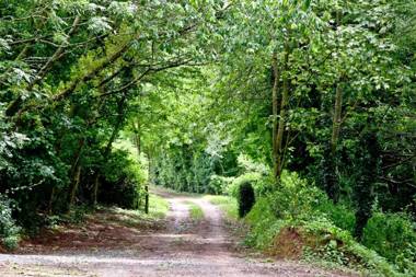 Willow Lodge South View Lodges Exeter