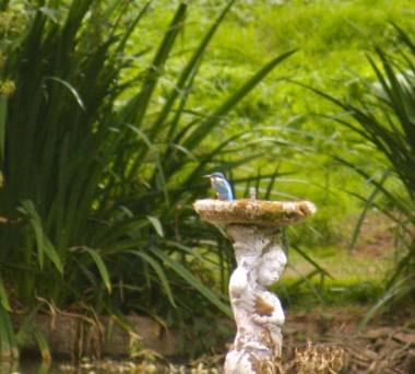 Kingfisher Lodge South View Lodges Exeter