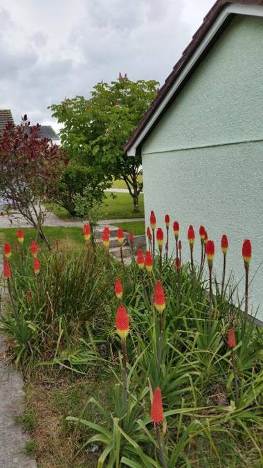 Thornbury Holiday Park