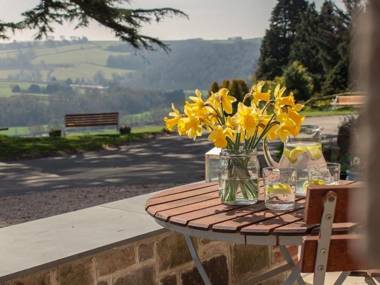 Little Silver Nugget