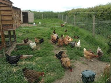 Frankaborough Farm Holiday Cottages