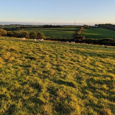 Immaculate LotusBelle Tent - North Devon