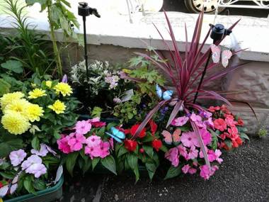 Buenos Aires Guest House