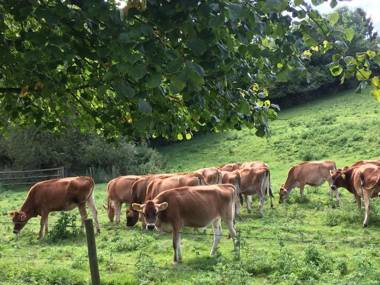 Worralls Grove Guest Farm House