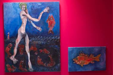 Alpine Apartments Snowdonia