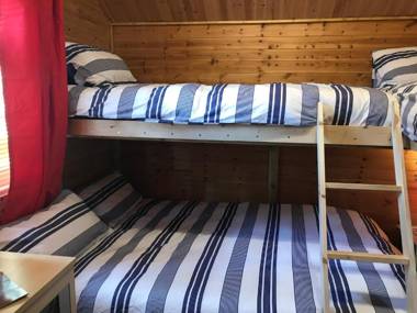 Bryn Dinas Camping Pods Ltd.