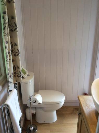 Dawn Chorus Holidays