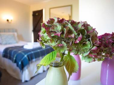 Tan Twr - Chellow Cottage