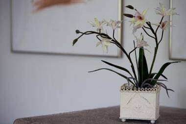 Tucking Mill View- Self Catering