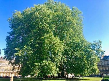 The Circus Maisonette - Elegant apartment in architectural gem