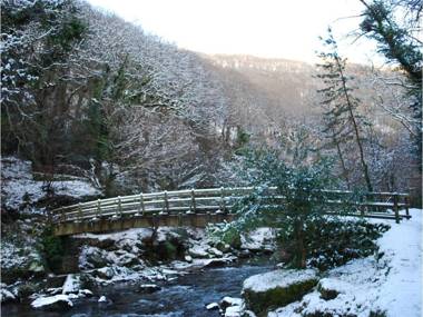 Riverside Cottage B&B
