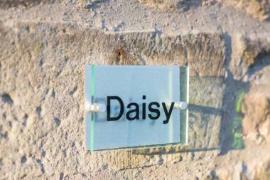 Host & Stay - Daisy Cottage