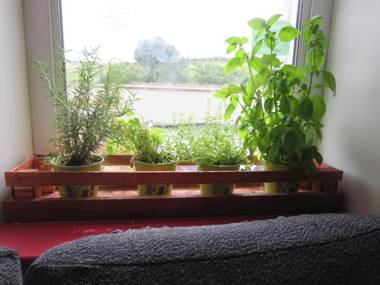 Finn McCools Giants Causeway Hostel