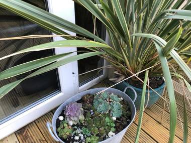 ByTheSea Guest House