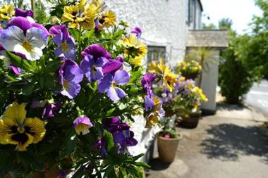 The Tytherleigh Arms