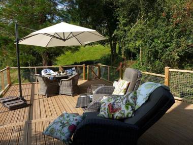 Little Evanses Axminster