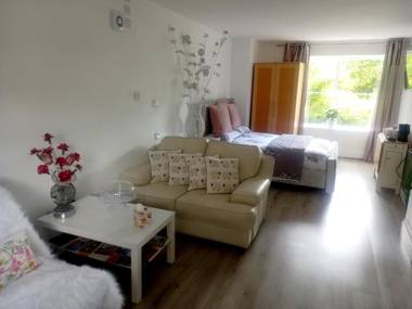 Beautiful 1-Bed Studio in Axminster