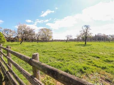 Ardsley Cottage - Longford Hall Farm Holiday Cottages