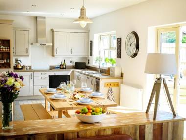 Oystercatcher Alnwick