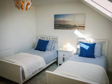 Oystercatcher Alnwick