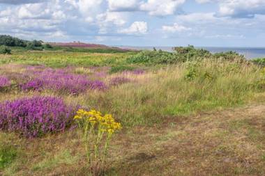The Cowshed at Green Valley Farm