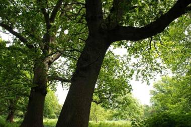 Queenies an authentic Rural Style coastal cottage in a Nature Reserve