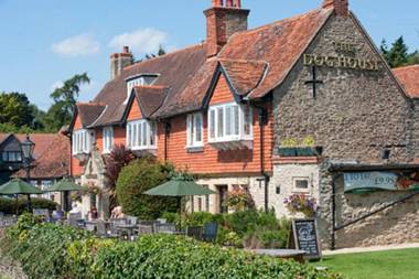 Dog House by Chef & Brewer Collection