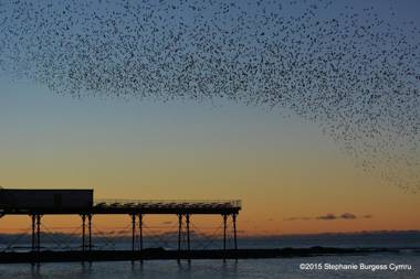 No 47 Marine Terrace