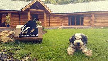 Badger's Wood at Hoo Farm