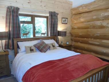 Badger's Wood at Hoo Farm