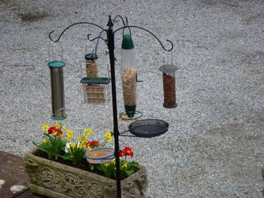 Lakeside Country Guest House